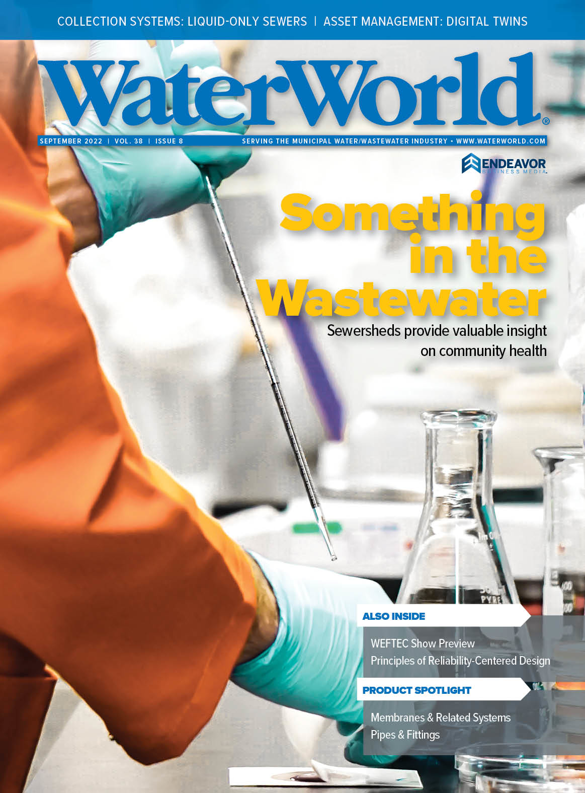 Volume 38, Issue 8, September 2022 cover image