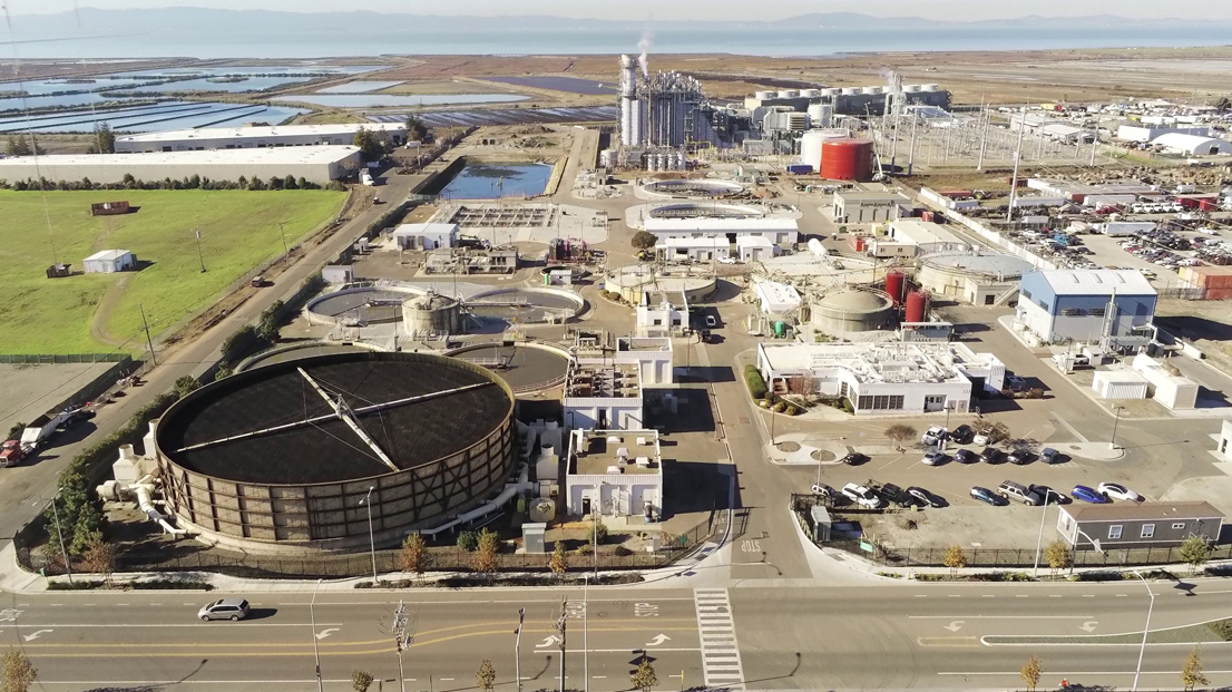 Hayward Website 633dc281375d1