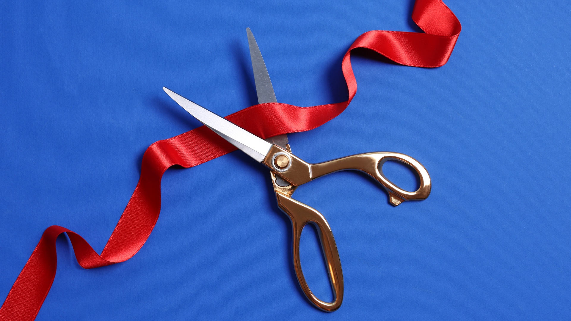 Dreamstime Xl 120063399 633b2f7e98941