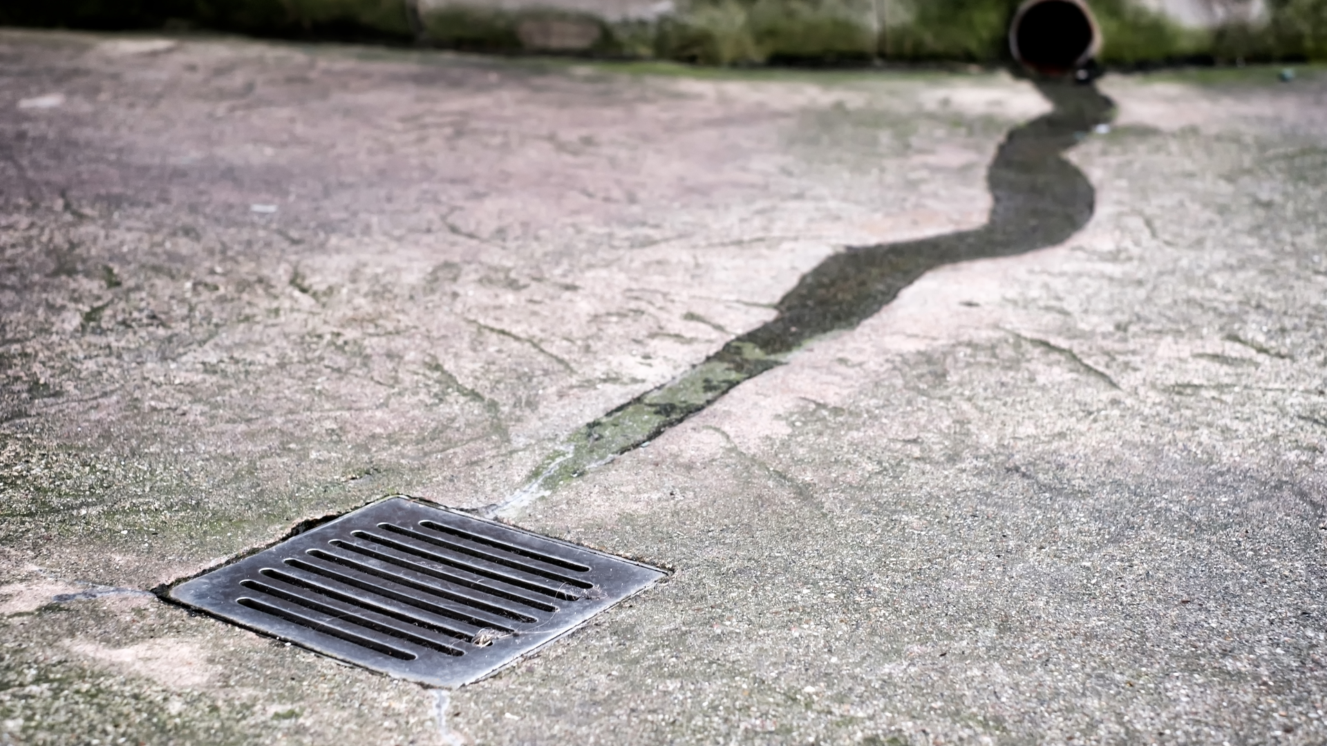 Dreamstime Xxl 162776574