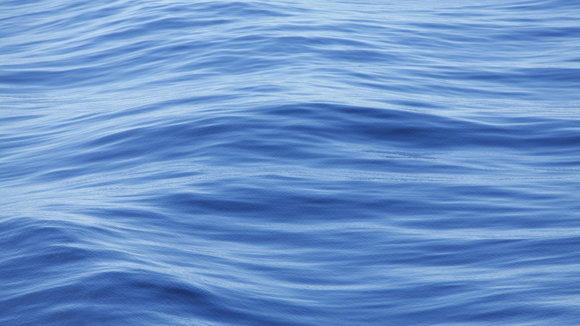 Dreamstime Xxl 20839792 634d725b51dda