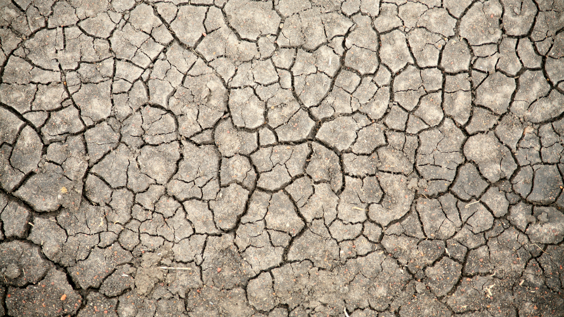 Dry, cracked soil in the Masai Mara Reserve of Kenya.