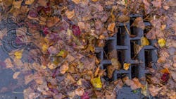 Dreamstime Xxl 65049237 6351af74153dc Dreamstime Xxl 65049237 6351af74153dc