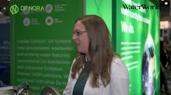 Mirkadenora
