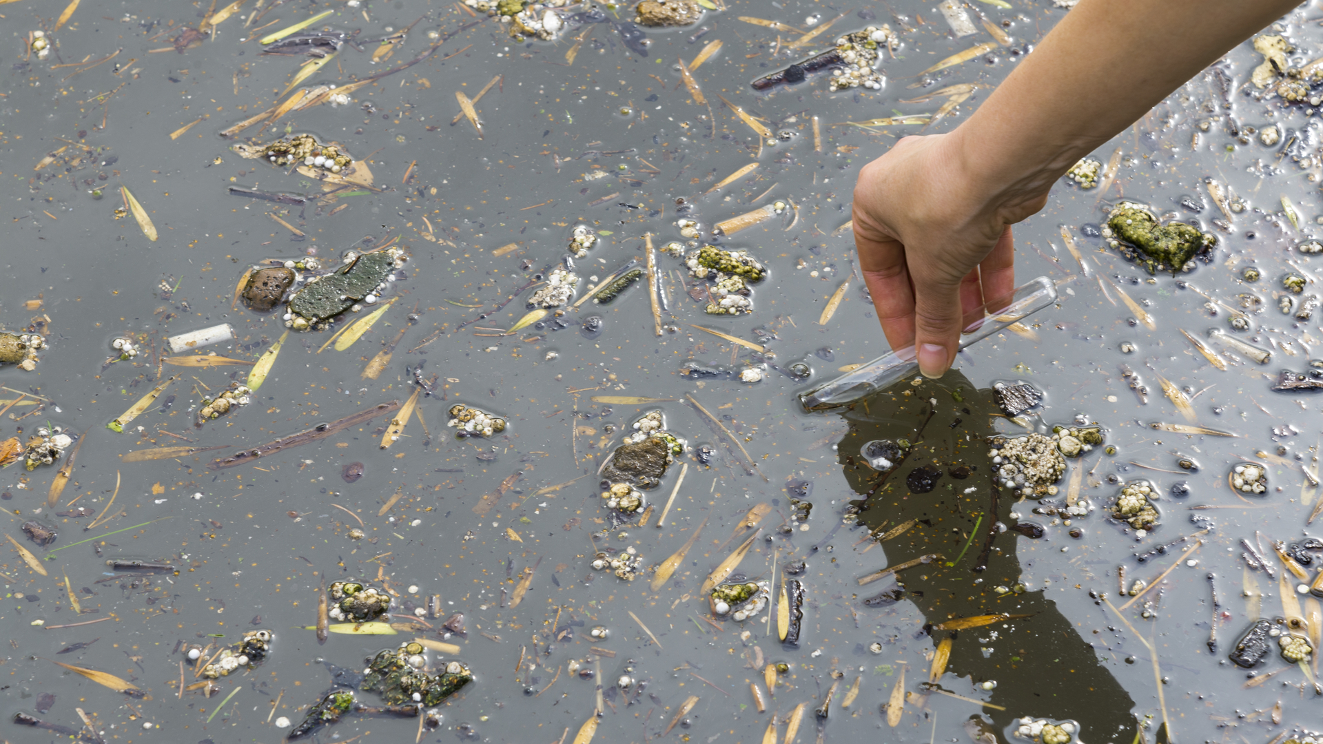 Dreamstime L 155851188 6363dff0524db