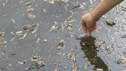 Dreamstime L 155851188 6363dff0524db Dreamstime L 155851188 6363dff0524db