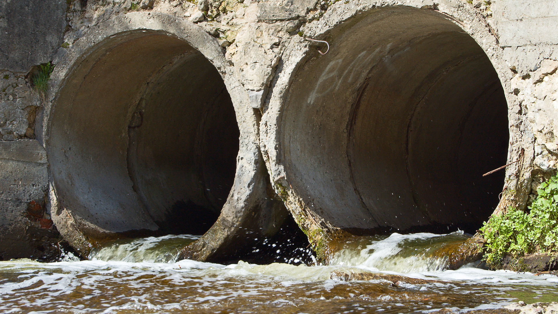 Dreamstime M 5028650 6363bddde525c