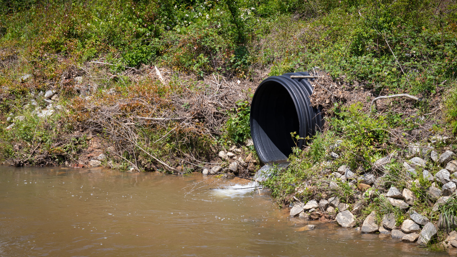 Dreamstime Xxl 180862465 6384d881704ec