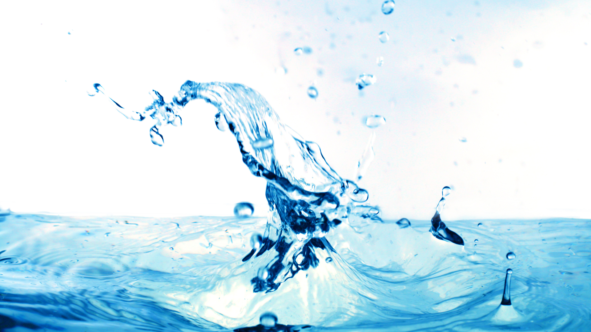 Dreamstime Xxl 5521933 636941957ea89