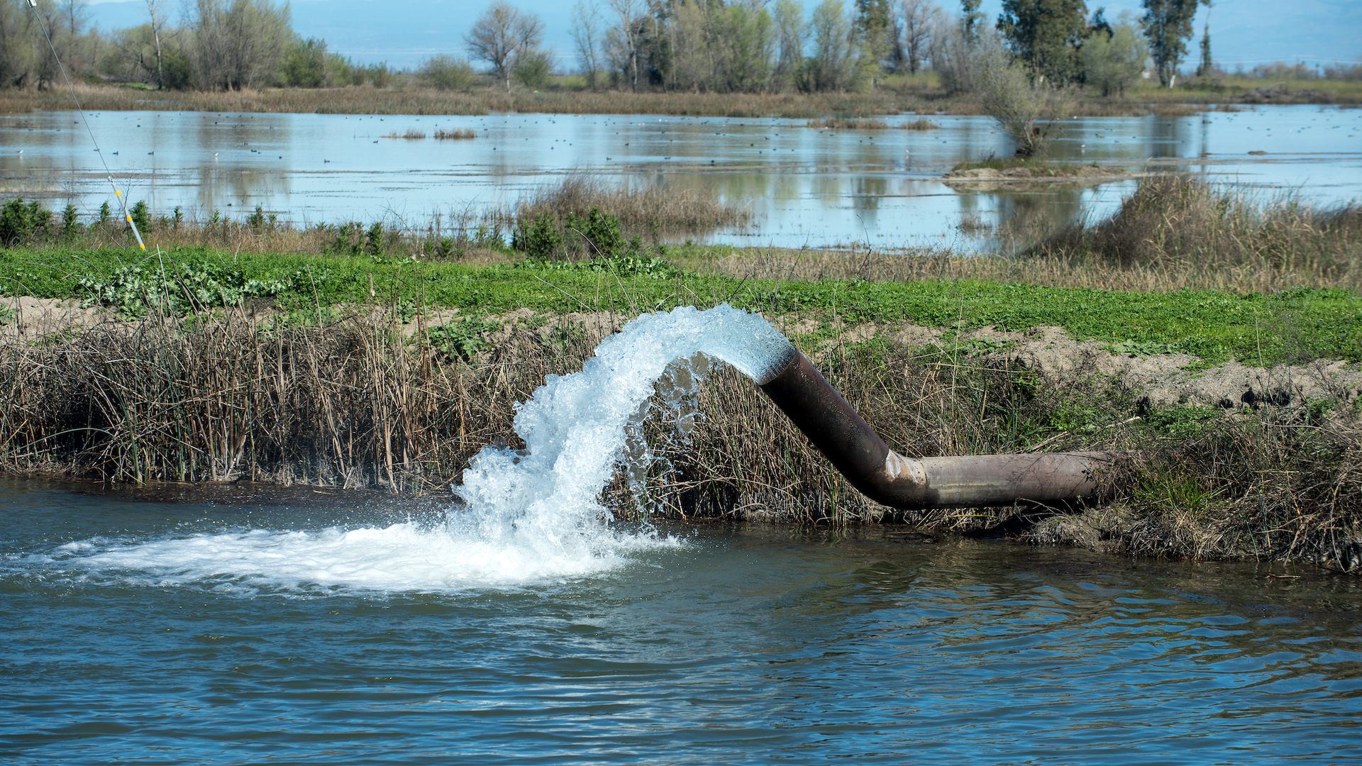 Gray Lodge Wildlife Area in Gridley has groundwater wells that pump water to flood fields and supply water for waterfowl.