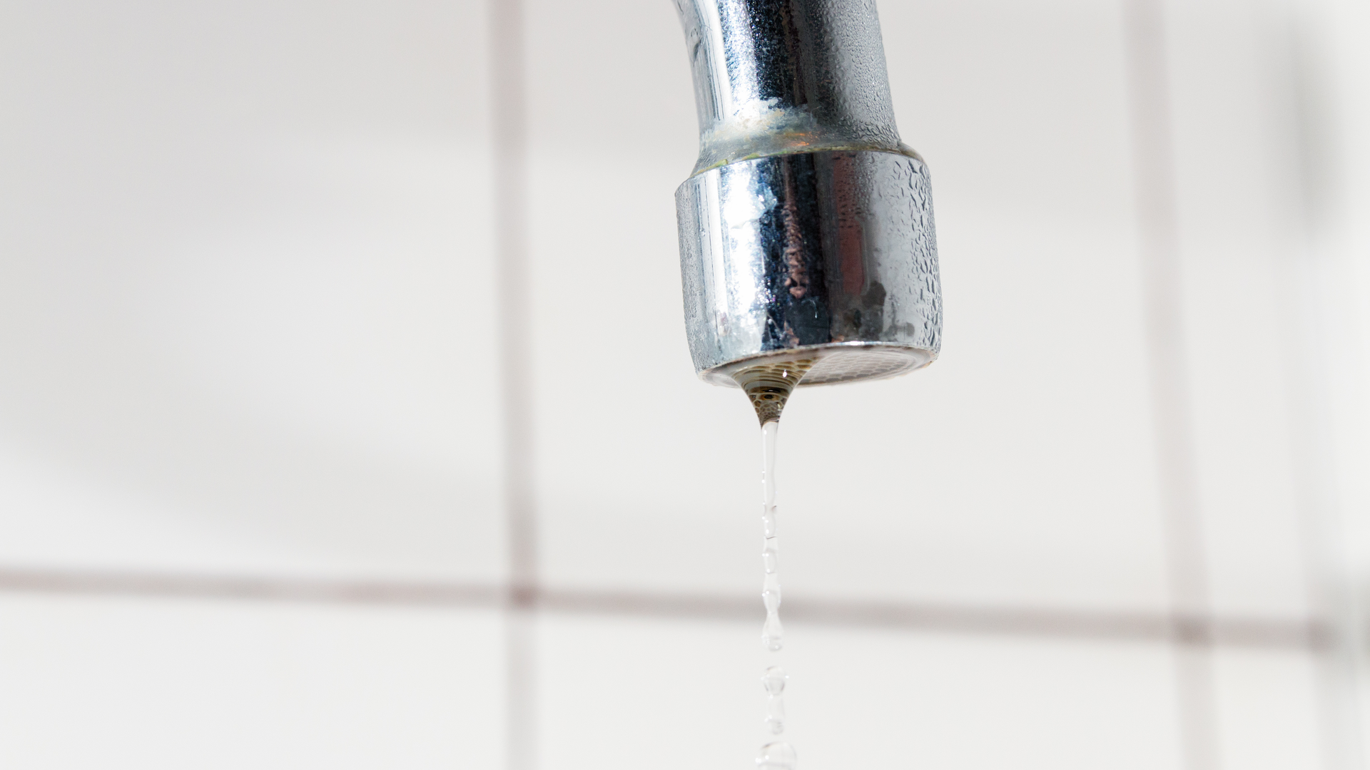 Dreamstime Xxl 109861268 639cbc187bfed