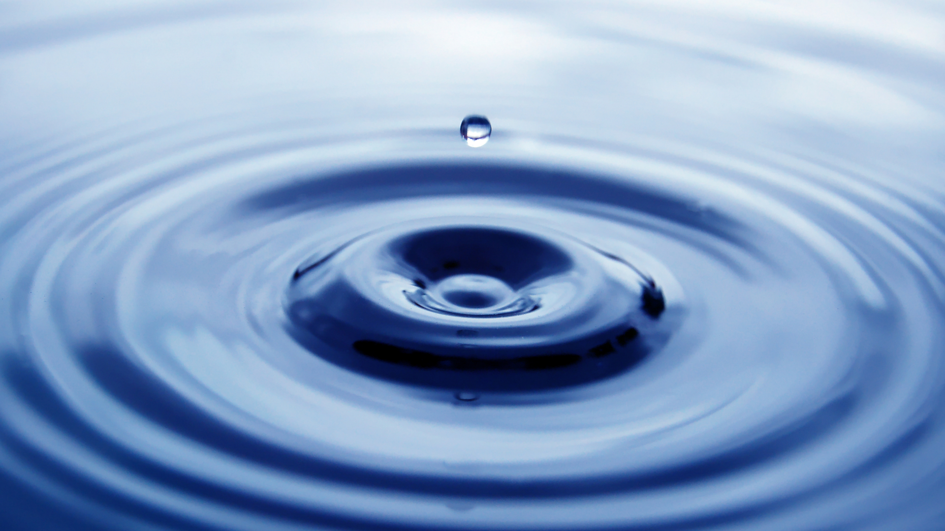 Dreamstime Xxl 1293960 639b52125f630