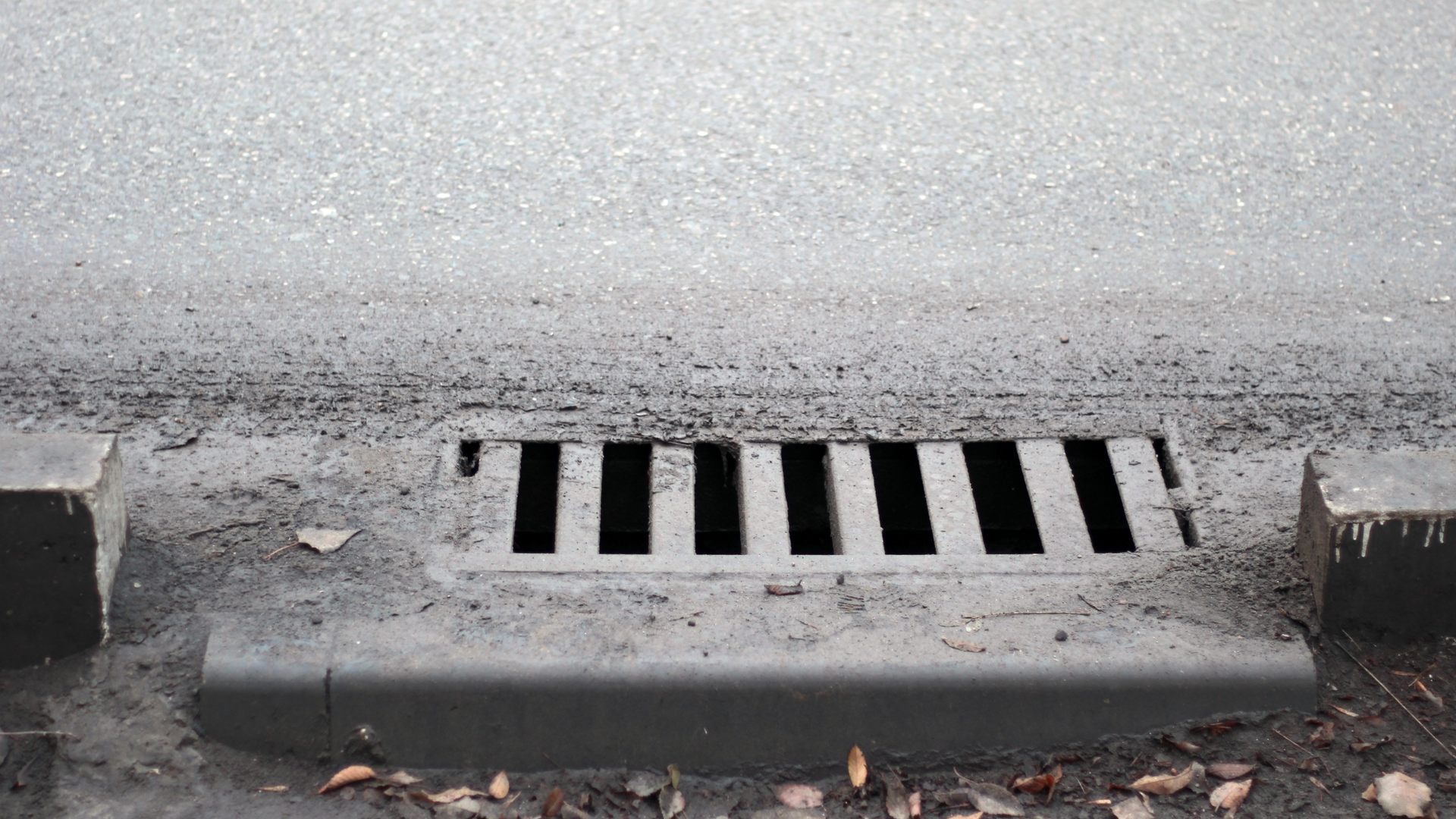 Dreamstime Xxl 136774950 638a2ad150021