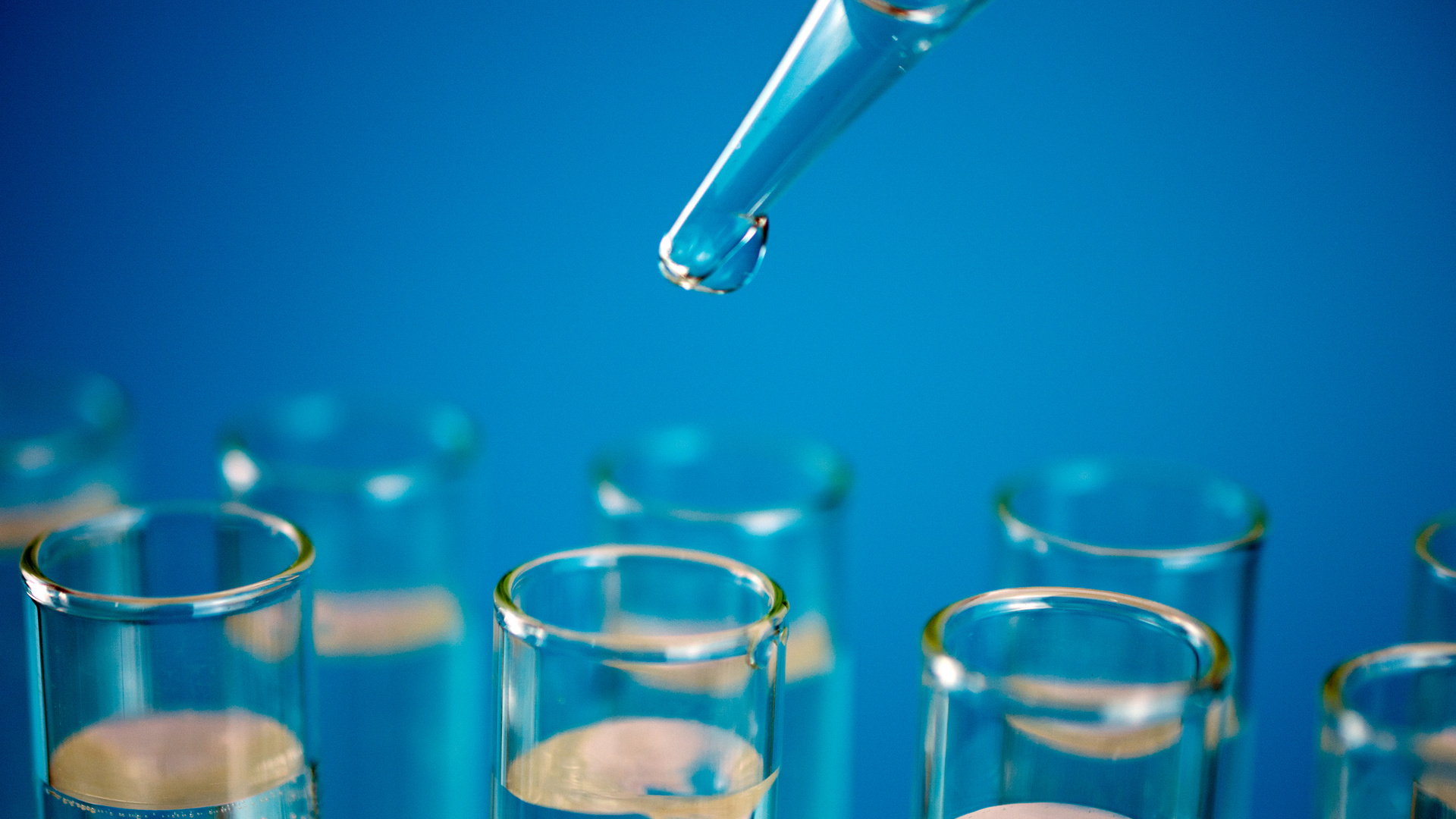 Dreamstime Xxl 147127344 1 63a069503e9b9