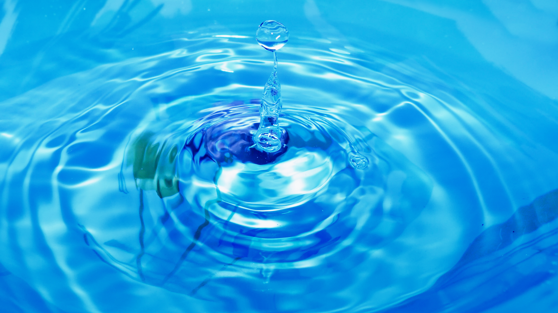 Dreamstime Xxl 15664904 63938d4e70036