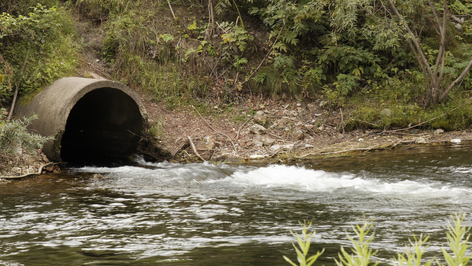 Dreamstime Xxl 20693220 6390d88c10c44