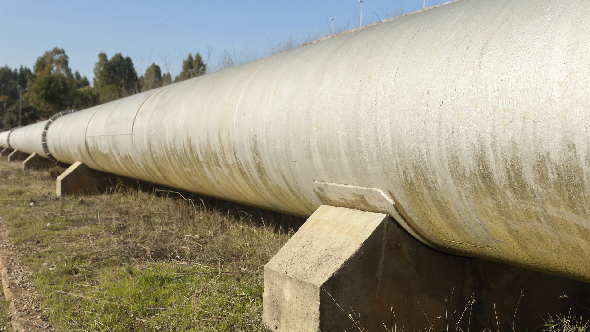 Dreamstime Xxl 30377344 6399ff62581ae