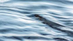 Dreamstime Xxl 46126867 63ac7458b4978 Dreamstime Xxl 46126867 63ac7458b4978