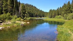 Dreamstime Xxl 73662036 638a1d9376ab8 Dreamstime Xxl 73662036 638a1d9376ab8