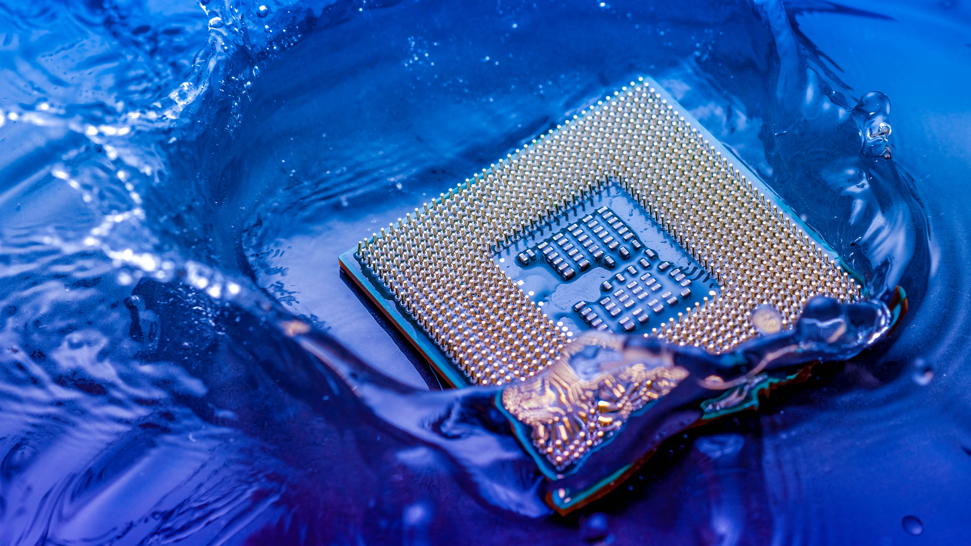 Dreamstime Xxl 110388446 63ceca074162d