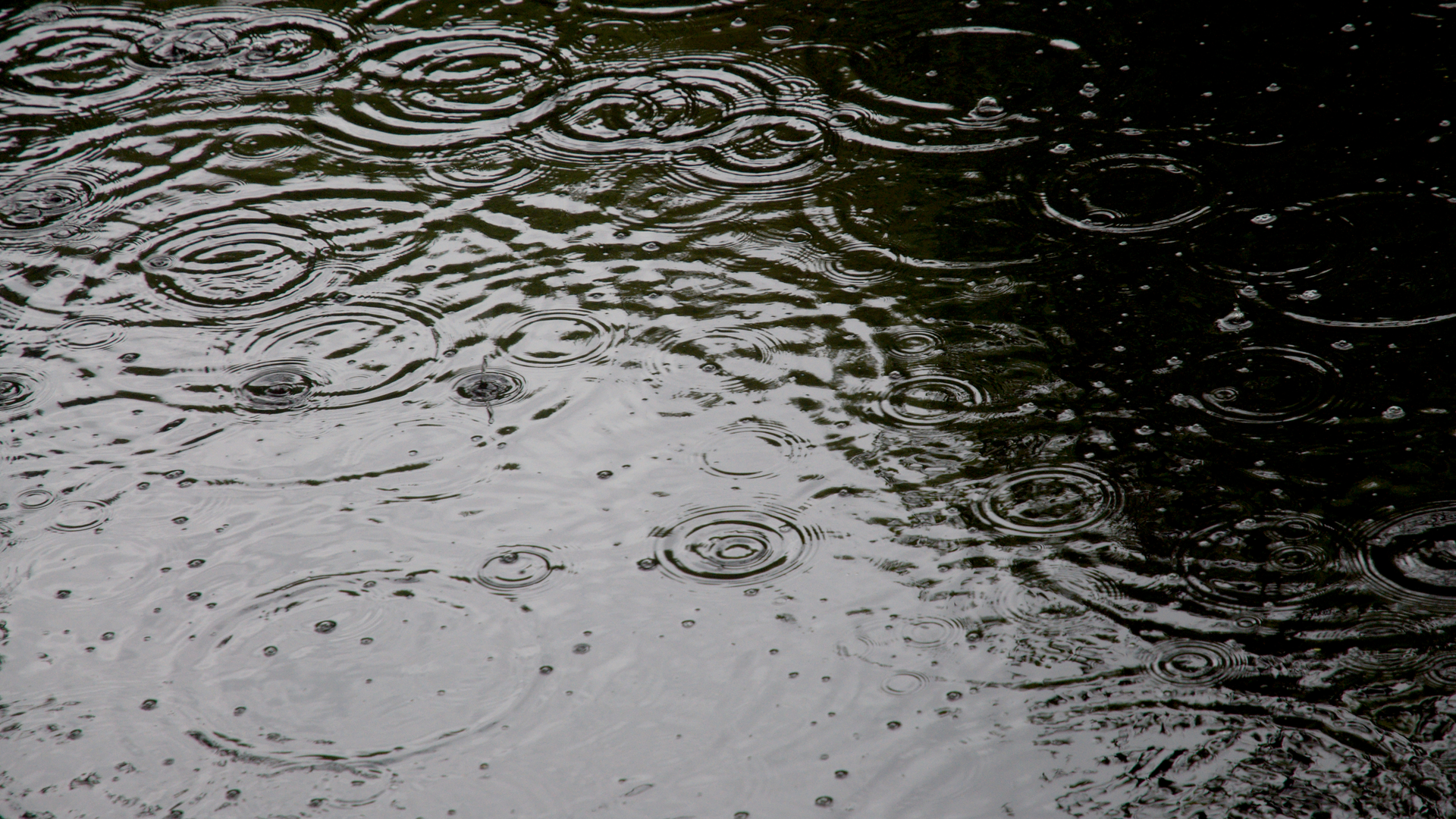 Dreamstime Xxl 31550310