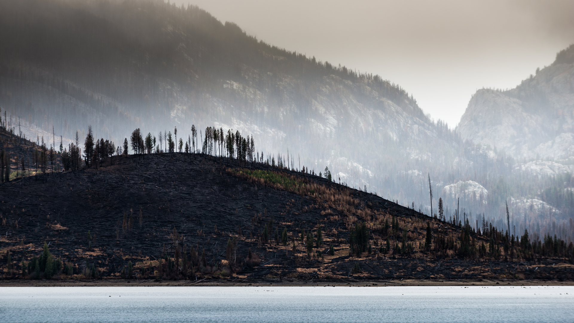 Dreamstime Xxl 79907580 63c858799e3f7