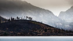 Dreamstime Xxl 79907580 63c858799e3f7 Dreamstime Xxl 79907580 63c858799e3f7