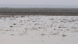 Standing water in a farmer’s field in the Dunnigan area of Yolo County, which saw a dramatic amount of rainfall and rising water in early January 2023. Standing water in a farmer’s field in the Dunnigan area of Yolo County, which saw a dramatic amount of rainfall and rising water in early January 2023.