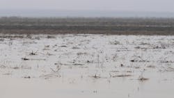 Standing water in a farmer&rsquo;s field in the Dunnigan area of Yolo County, which saw a dramatic amount of rainfall and rising water in early January 2023.