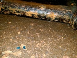 Fig. 1: Example of media growth and mud-balling due to build-up of solids. Fig. 1: Example of media growth and mud-balling due to build-up of solids.