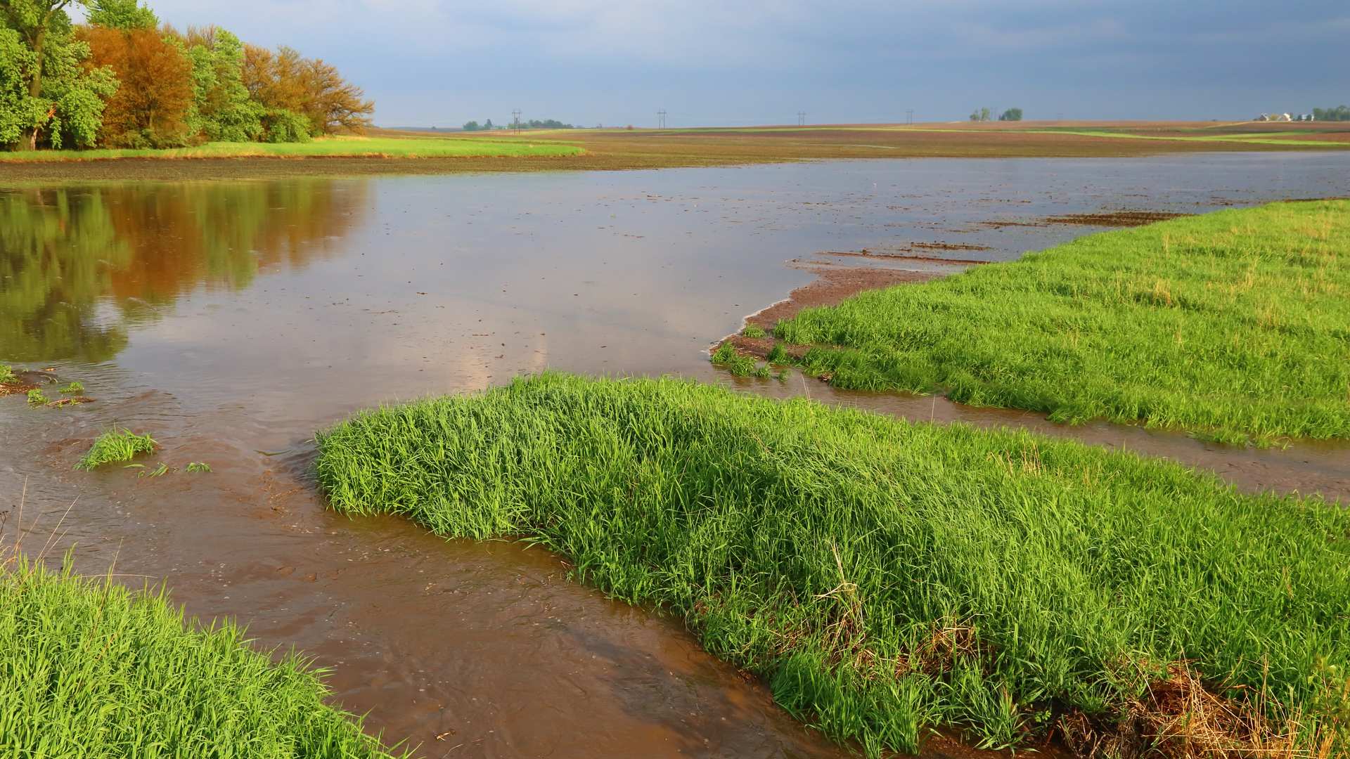 Dreamstime Xxl 40983645 640b591e1195d