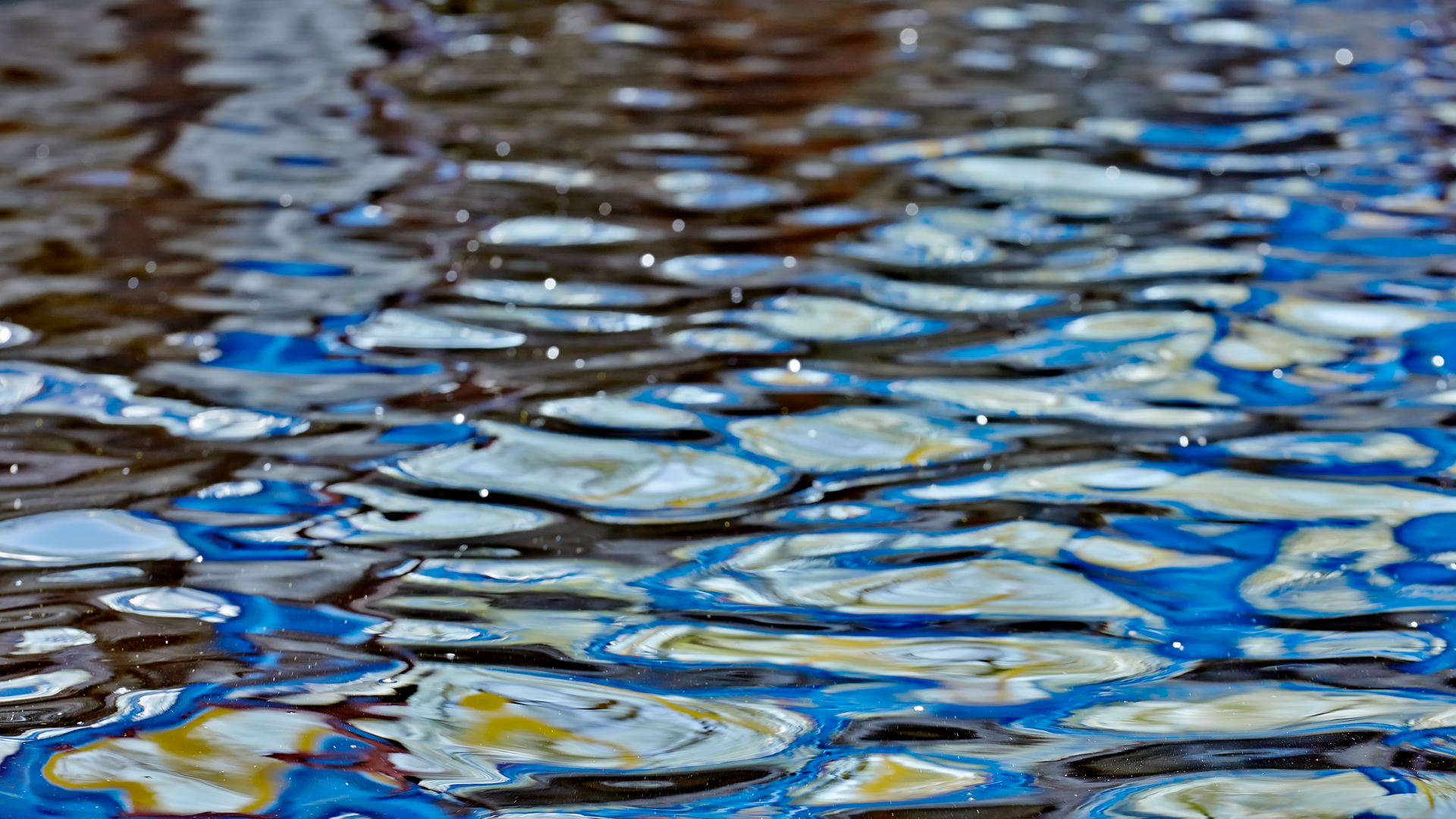 Dreamstime Xxl 37772817 6439522c930c8