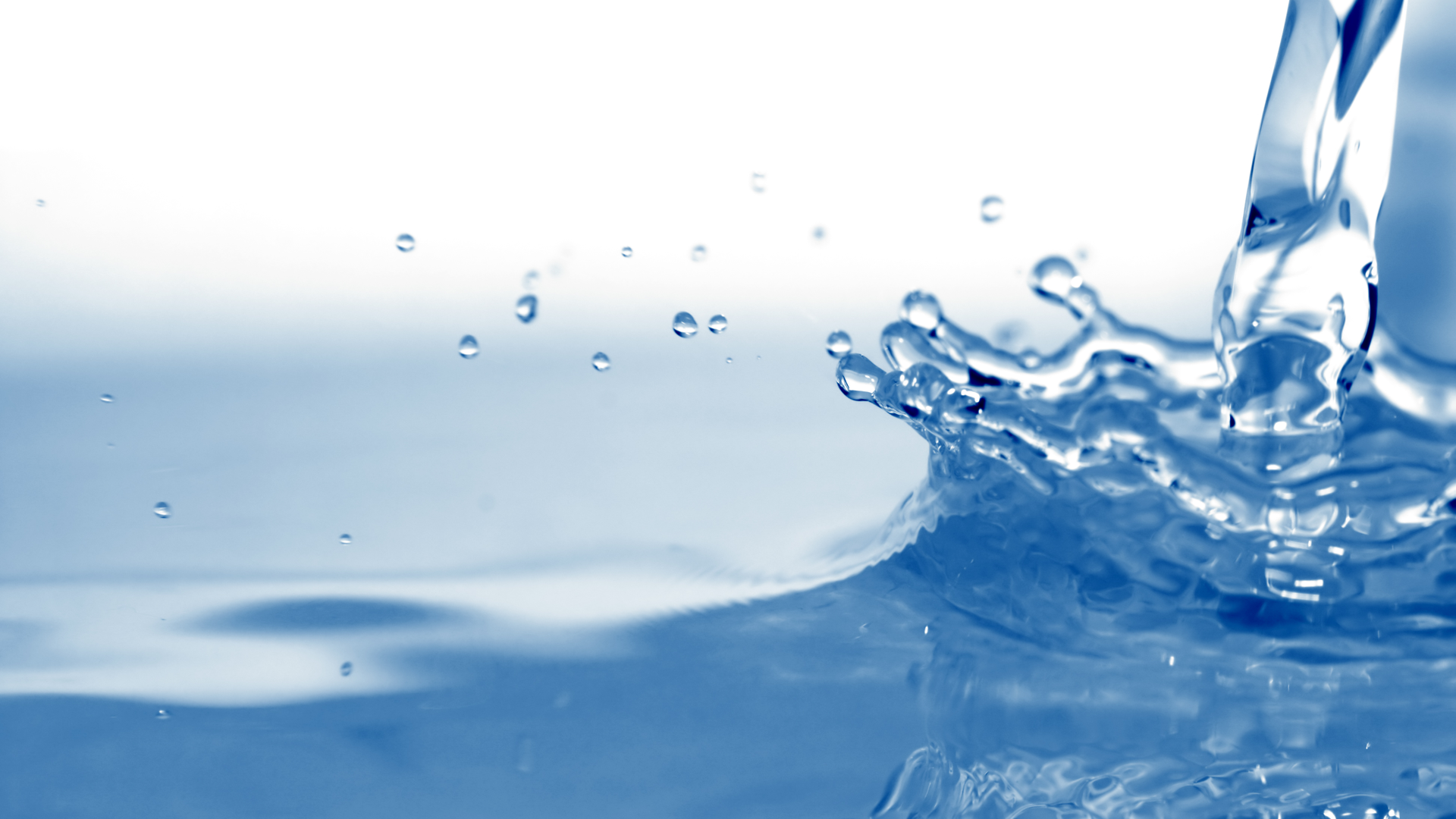 Dreamstime Xxl 4133673 644a8675c46ea