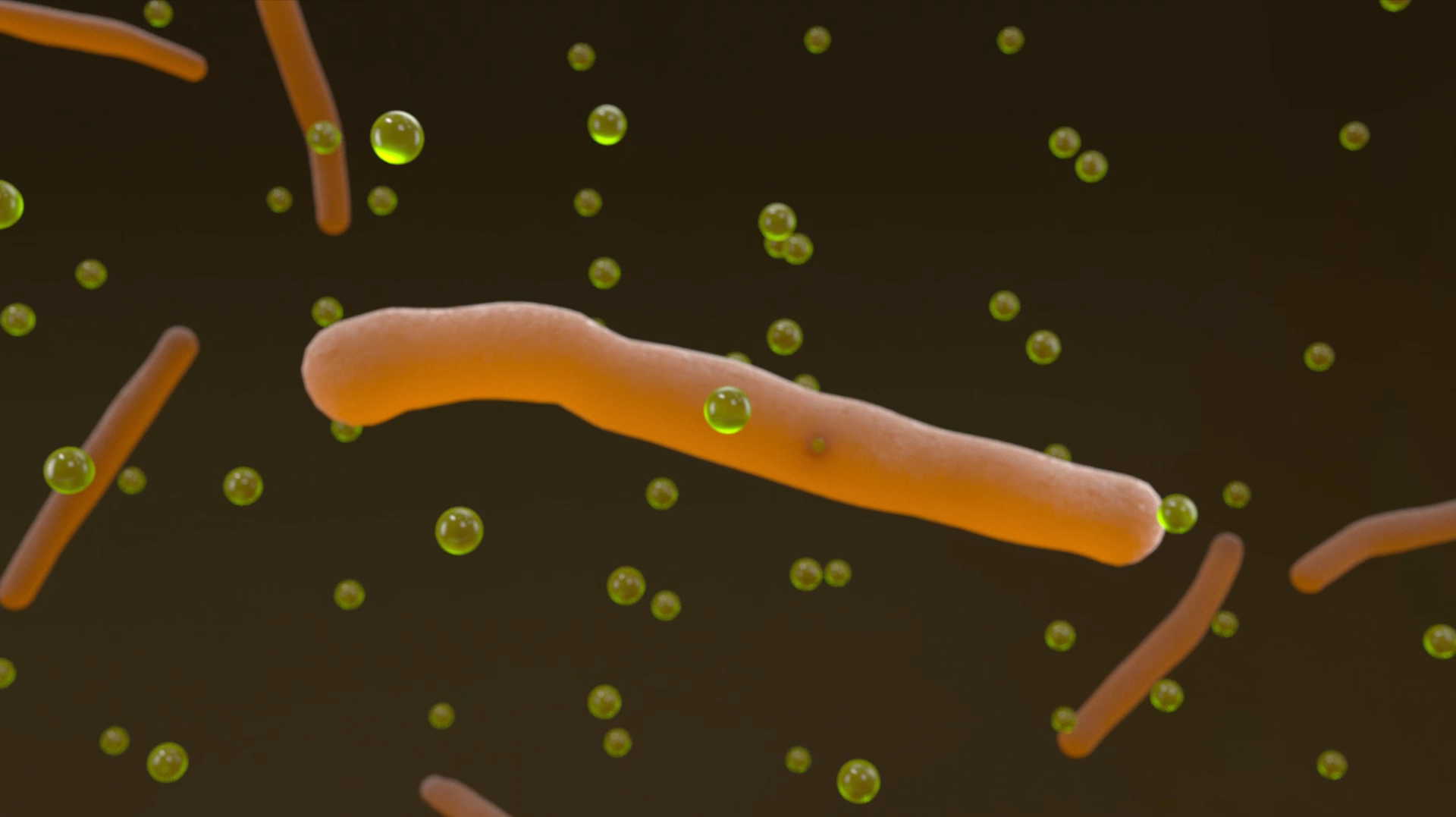 The solution's bacteria absorbs 1,4-Dioxane through its cell walls.