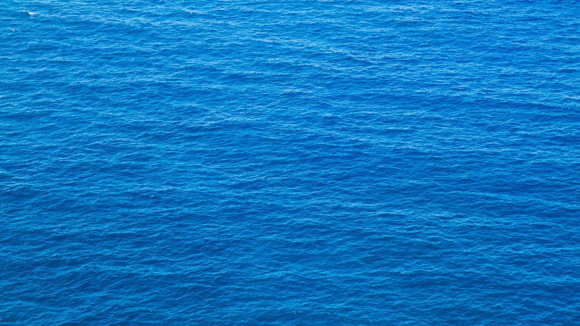 Dreamstime Xxl 27746177 6466417e438eb