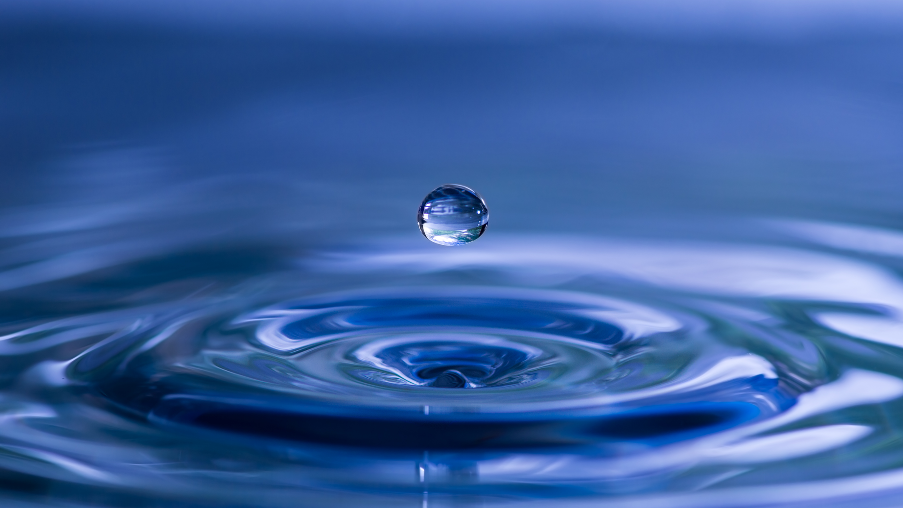 Dreamstime Xxl 40550406 64777a89a2716