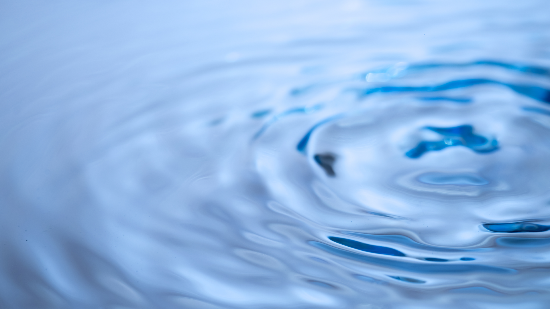 Dreamstime Xxl 72914582 64591d1f4624f