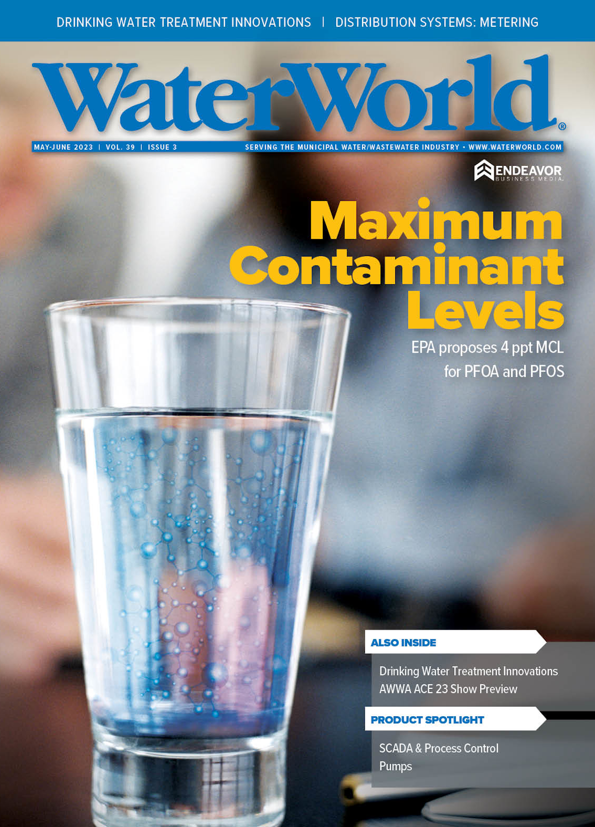 Volume 39, Issue 3, May/June 2023 cover image