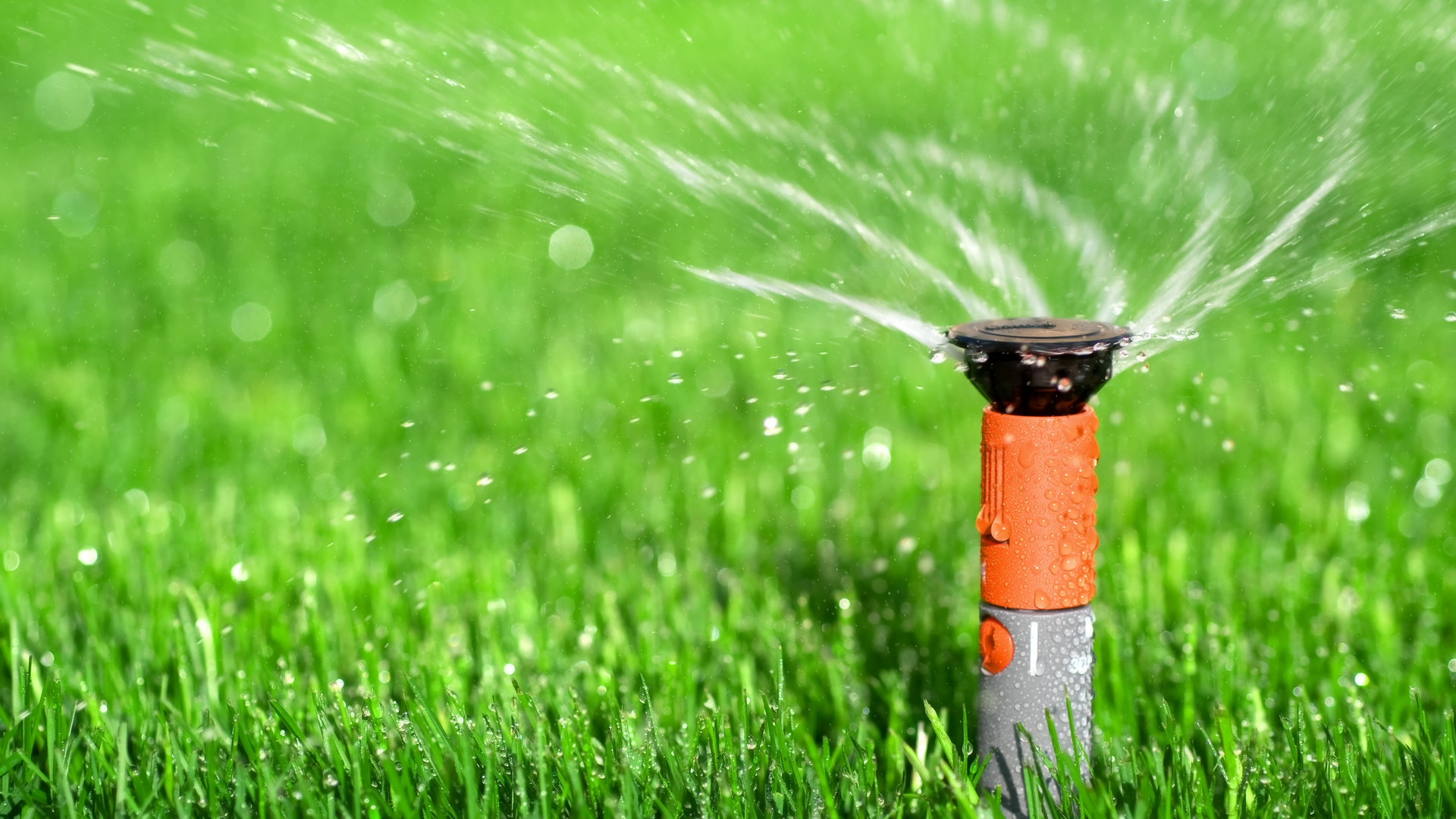 Dreamstime Xxl 10219057 647e07c4ed6a9