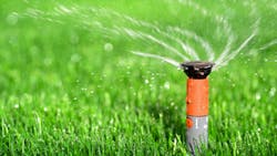 Dreamstime Xxl 10219057 647e07c4ed6a9 Dreamstime Xxl 10219057 647e07c4ed6a9