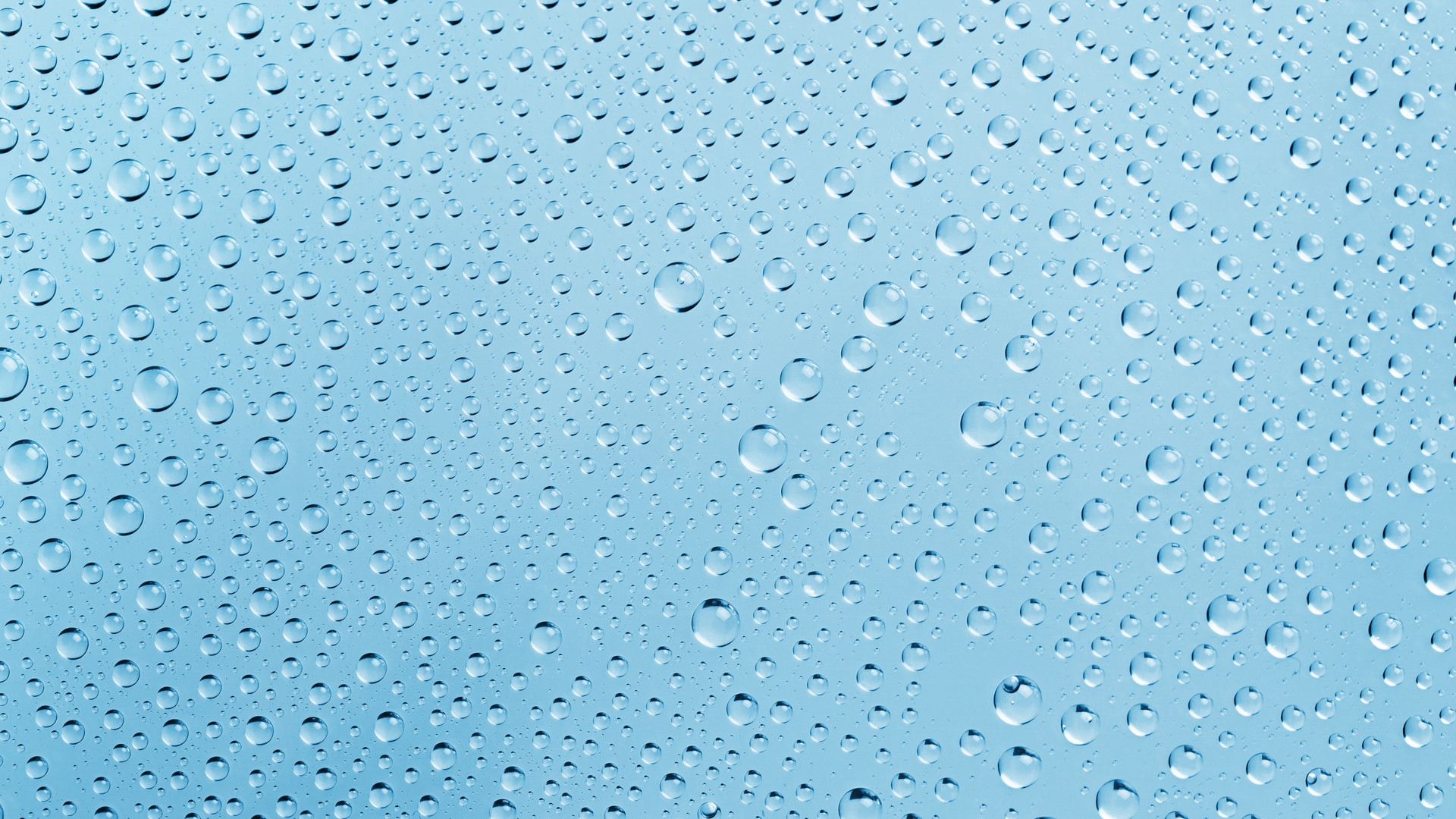 Dreamstime Xxl 44213937 649dba7840022