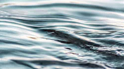 Dreamstime Xxl 46126877