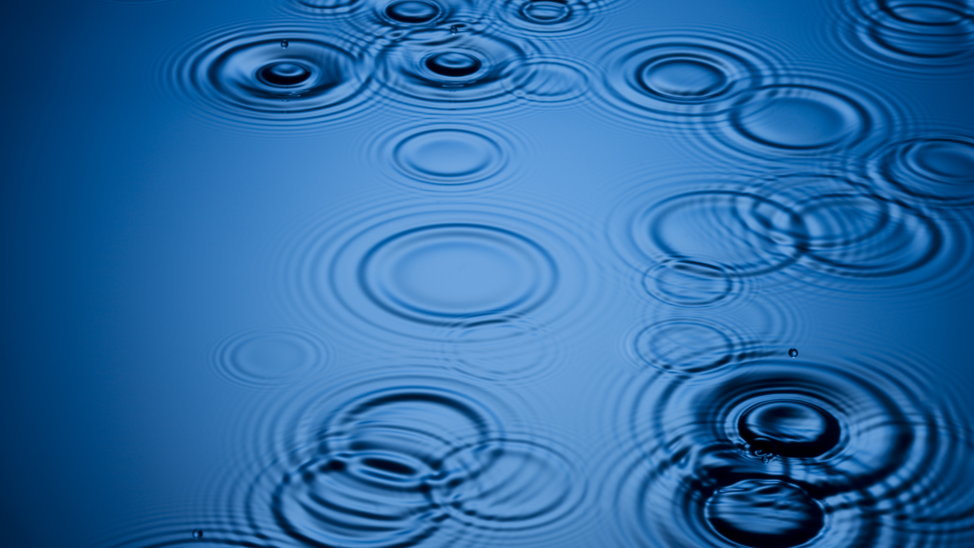 Dreamstime Xxl 6515129 2 647f5b669b8f4