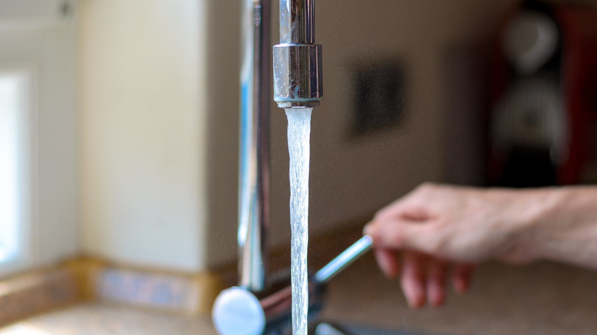 Dreamstime Xxl 73832759 1 647f510b29a46