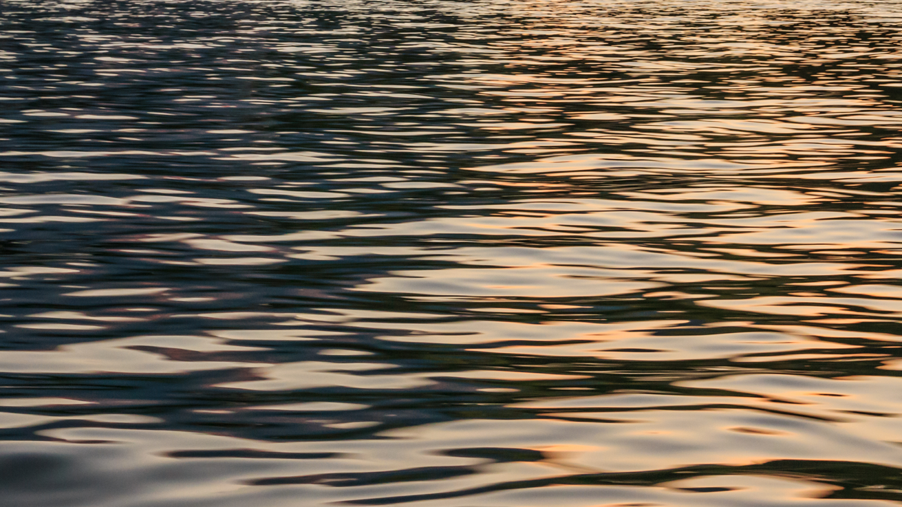 Dreamstime Xxl 98920923 6478b2b43736e