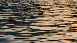 Dreamstime Xxl 98920923