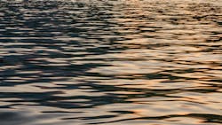 Dreamstime Xxl 98920923 6478b2b43736e Dreamstime Xxl 98920923 6478b2b43736e