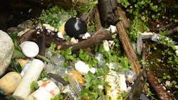 Plastic bottles litter the forest and shoreline in Sechelt, British Columbia. Plastic bottles litter the forest and shoreline in Sechelt, British Columbia.