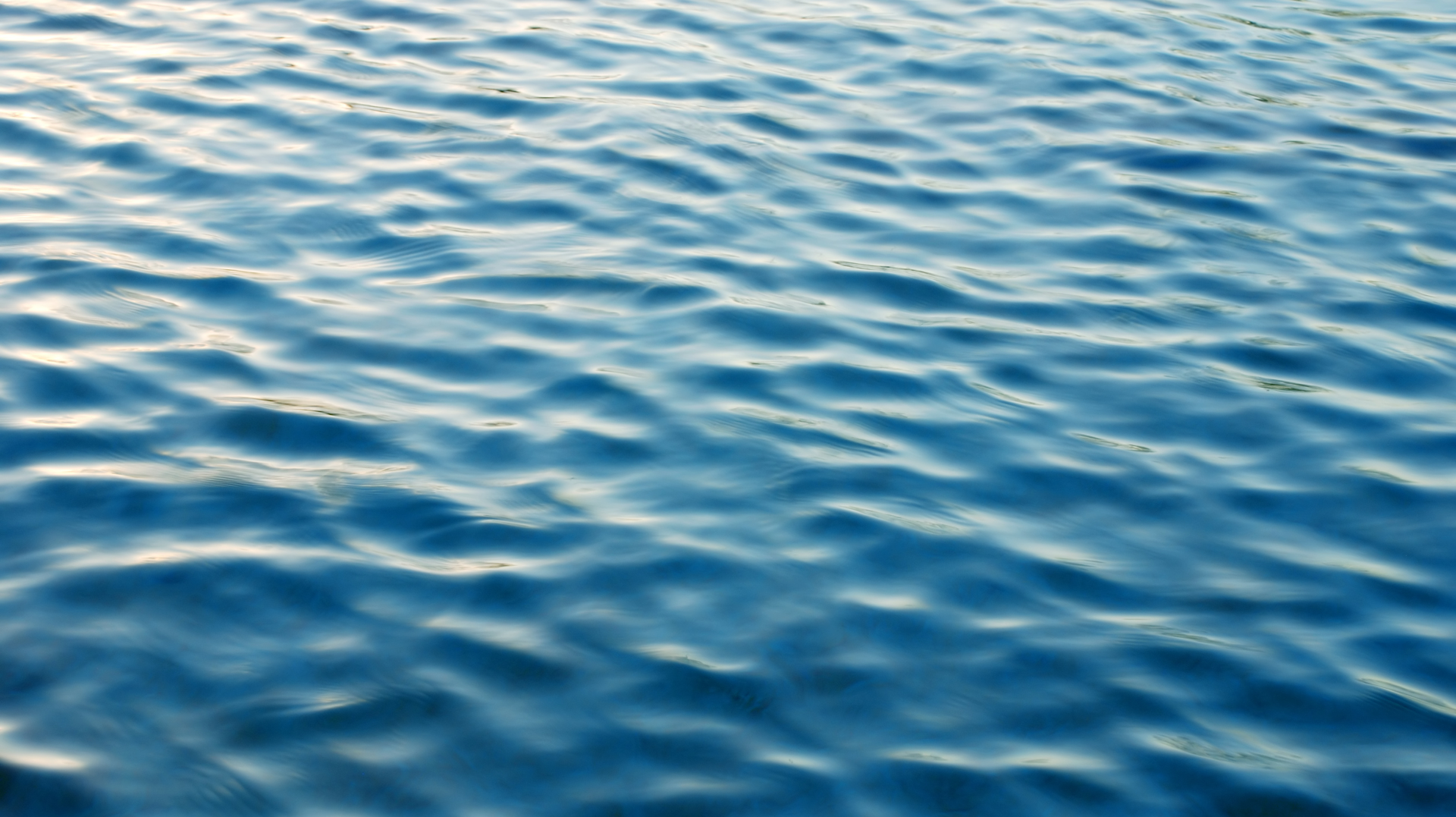 Dreamstime Xxl 10460985 64b0089d37420