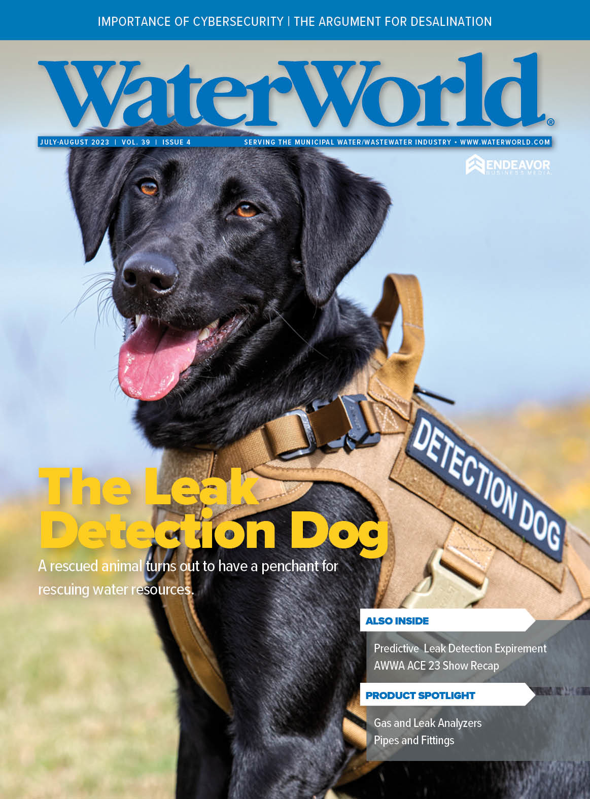 Volume 39, Issue 4, July/August 2023 cover image